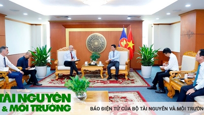 Bộ trưởng Đặng Quốc Khánh tiếp và làm việc với Đại sứ Canada