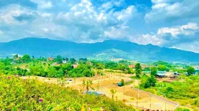 តើអ្នកគួរវិនិយោគលើអចលនទ្រព្យនៅចុងឆ្នាំដែរឬទេ?