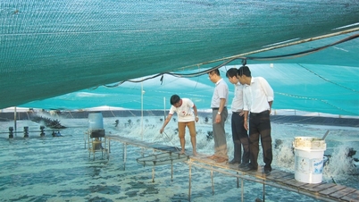 New livelihoods for fishermen - the problem of supporting career change