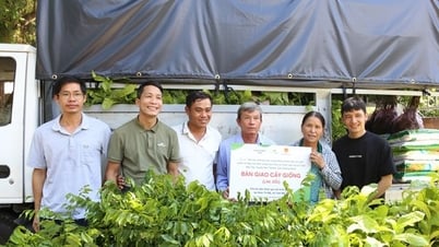 เกือบ 1 พันล้านดองเพื่อสนับสนุนการยังชีพของชุมชนในการอนุรักษ์ลิงแสมขาเทา