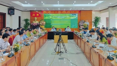 ប្រកាសផែនការព្រៃឈើជាតិ ដែលមានចក្ខុវិស័យដល់ឆ្នាំ២០៥០