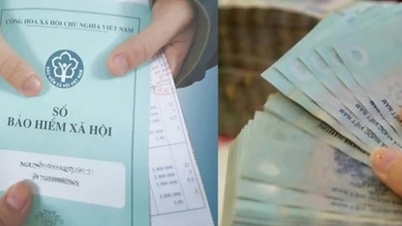 Кадровые ресурсы, работники должны знать