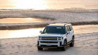 TC Group thông báo kết quả bán hàng Hyundai tháng 9/2024