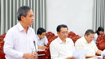 Director of the Department of Planning and Investment of Tra Vinh province was elected to hold the position of Vice Chairman of the Provincial People's Committee.