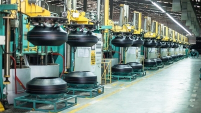 Danang Rubber (DRC) ពិន័យ៣ដងត្រឹម១ខែ ប្រាក់ចំណេញធ្លាក់ចុះ៥០%