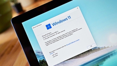 Windows 11 se puede reinstalar desde Windows Update
