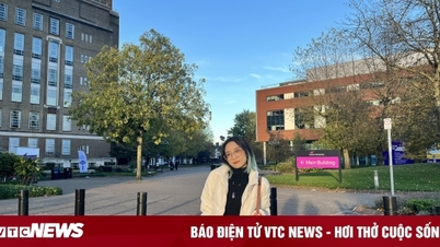 Ba người Việt trẻ xuất sắc giành học bổng IELTS Prize 2023 từ Hội đồng Anh