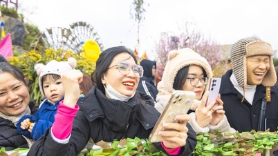 Tourism booms across 3 regions since the first days of the new year