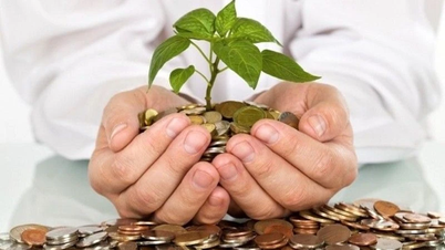 Dividend payment schedule, week from July 29 to August 2