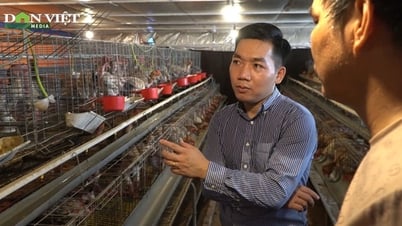 “Bỏ phố về quê”, anh nông dân Hưng Yên làm giàu nhờ những sản phẩm từ đặc sản gà Đông Tảo