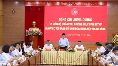 Thường trực Ban Bí thư Lương Cường làm việc với Đảng ủy Khối Doanh nghiệp Trung ương