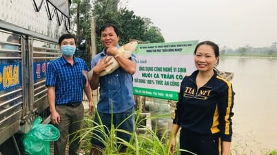 Hà Nội nâng cao năng suất, chất lượng giống vật nuôi, thủy sản