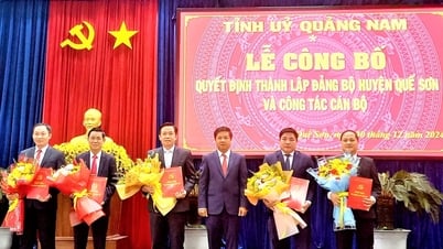 ប្រកាសសេចក្តីសម្រេចបង្កើតគណៈកម្មាធិការបក្សស្រុក Que Son