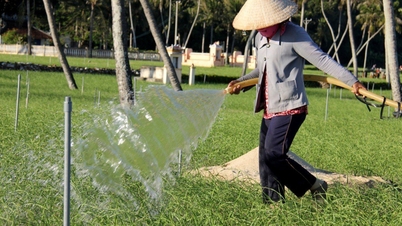 Sử dụng nước hiệu quả, tiếp cận theo hướng tuần hoàn