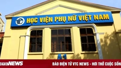 Vietnam Women's Academy fined 150 million VND for recruiting more than 500% of its target