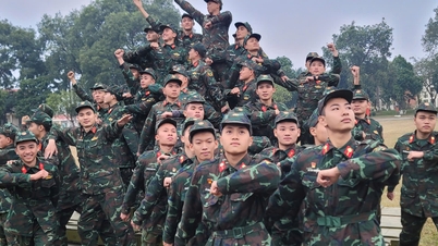 'ផ្លូវនៃប្រវត្តិសាស្រ្ត' ប្រាប់រឿងដ៏គួរឱ្យចាប់អារម្មណ៍អំពីទាហានរបស់ពូហូ