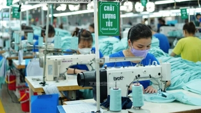 Xuất nhập khẩu nhiều khởi sắc