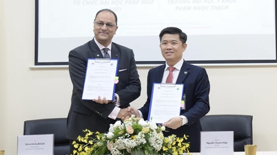 សាកលវិទ្យាល័យ Francophone Cooperation Space មានទីតាំងនៅសាកលវិទ្យាល័យ Pham Ngoc Thach University of Medicine
