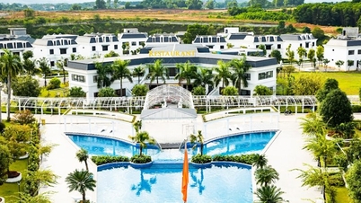 Chủ đầu tư dự án La Saveur De Hoà Bình "đội sổ" nợ thuế hơn 1.000 tỉ đồng