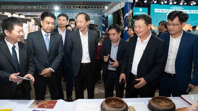 ជំរុញការតភ្ជាប់រវាងទីក្រុងហាណូយ ហាណាម និងខេត្តនៅតំបន់សេដ្ឋកិច្ចសំខាន់ភាគខាងជើង