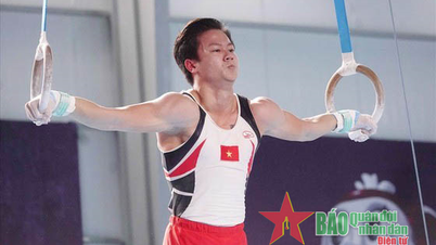 Vietnamese gymnastics strives to win tickets to the Olympics