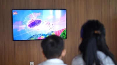 VNPT Family Safe: Đầu tư nhỏ