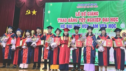 97% sinh viên Trường ĐH Cửu Long ra trường có việc làm