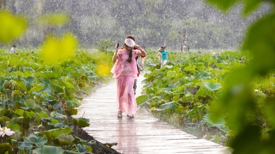 Khoảnh khắc các 'nàng thơ' bỏ chạy vì mưa lớn ở Hang Múa gây 'bão mạng'