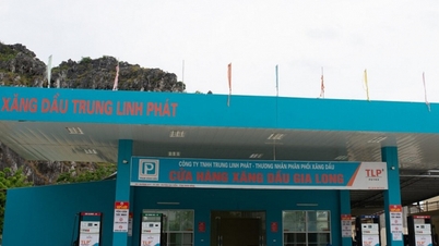 ប្រេង​ឥន្ធនៈ​យក្ស Trung Linh Phat ឈរ​លើ​គេ​ក្នុង​បញ្ជី​ជាប់​ពន្ធ​នៅ Ninh Binh