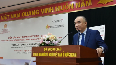 Tăng cường hợp tác kinh tế, thương mại, đầu tư giữa Việt Nam