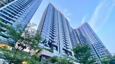 Các nghị định của luật Đất đai 2024 sẽ có hiệu lực tức thời