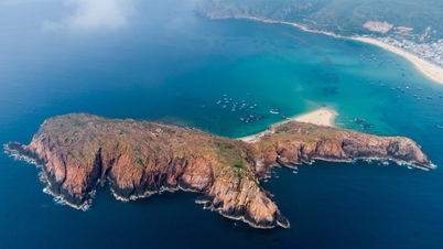 សម្រស់ព្រៃនៅ Hon Kho, Quy Nhon
