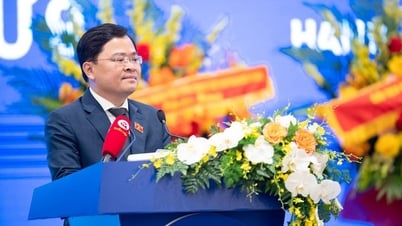 국회 활동에 청년 대의원의 기여를 촉진합니다.