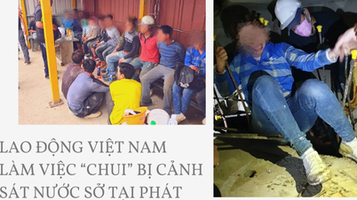 ដើម្បី​បញ្ឈប់​លំហូរ​ពលករ​ខុស​ច្បាប់​ចេញ​ទៅ​ក្រៅ​ប្រទេស តើ​នរណា​ត្រូវ​ទទួល​ទោស​ធ្ងន់?