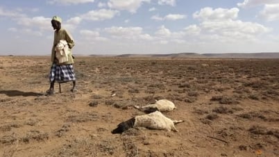 El Nino ចុះខ្សោយ ប៉ុន្តែនឹងរក្សាសីតុណ្ហភាពខ្ពស់។