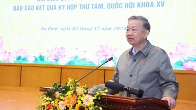 Streamlining the organizational structure will be done from top to bottom, with the goal of striving to complete it in the first quarter of 2025.