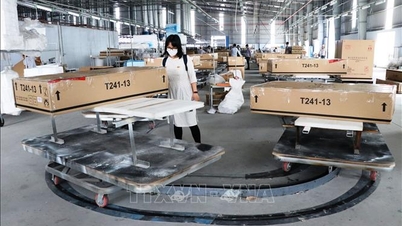 Canada rà soát giá trị thông thường ghế bọc đệm Việt Nam trong vụ điều tra chống bán phá giá