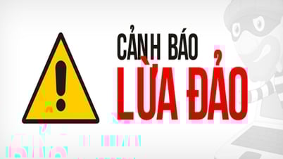 ការក្លែងបន្លំតាមអ៊ីនធឺណិតនៅវៀតណាម និងអ៊ីនធឺណិតអន្តរជាតិ