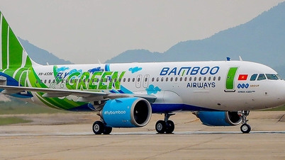 Hai cựu lãnh đạo Japan Airlines sắp gia nhập Bamboo Airways