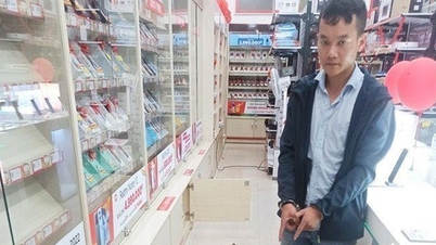 Khởi tố bị can trộm 42 điện thoại trị giá gần 1 tỉ đồng