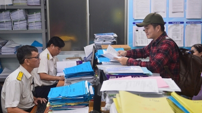 En Ciudad Ho Chi Minh sólo quedan 9.150 registros de impuestos territoriales.