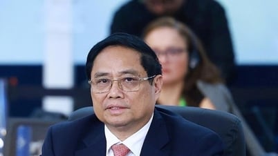 Prime Minister shares 3 proposals to implement sustainable development goals at G20