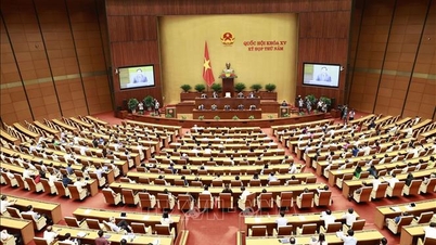 The Ministers answered questions responsibly, without evasion and in line with reality.