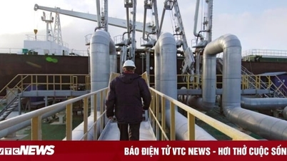 China, India are the main buyers of Russian oil