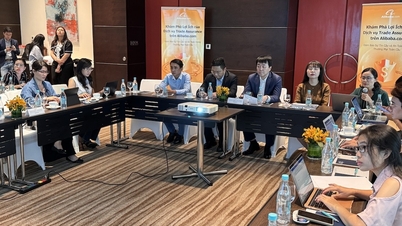 ការធានាពាណិជ្ជកម្មរបស់ Alibaba.com ជួយសហគ្រាសធុនតូច និងមធ្យមវៀតណាមបង្កើនទំនុកចិត្ត