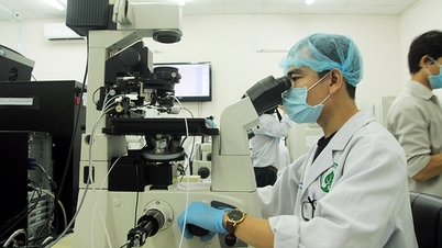 Việt Nam chưa có trường đại học nghiên cứu đúng nghĩa