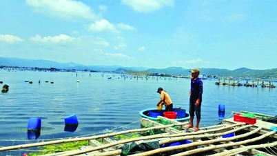 Bank supports shrimp farmers to overcome difficulties
