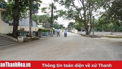 Cựu chiến binh chung sức xây dựng nông thôn mới