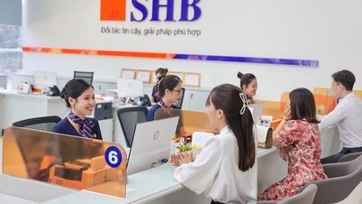 Cập nhật lãi suất tiền gửi tiết kiệm SHB cuối tháng 8.2024