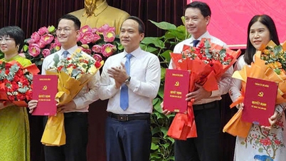 Bí thư Thành Đoàn Đà Nẵng làm phó trưởng Ban Tuyên giáo Thành ủy